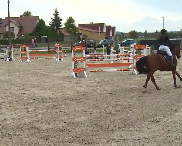 Reitturnier Poxdorf/Ofr 2022