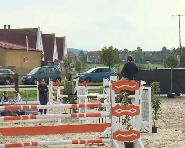 Reitturnier Poxdorf/Ofr 2022
