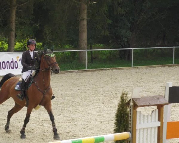 Reitturnier Karlsfeld/Obb. 2022