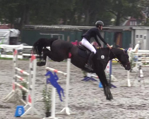 Reitturnier Mildstedt 2022
