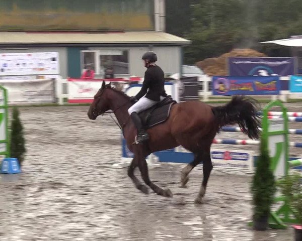 Reitturnier Mildstedt 2022