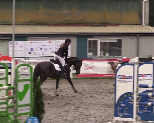 Reitturnier Mildstedt 2022