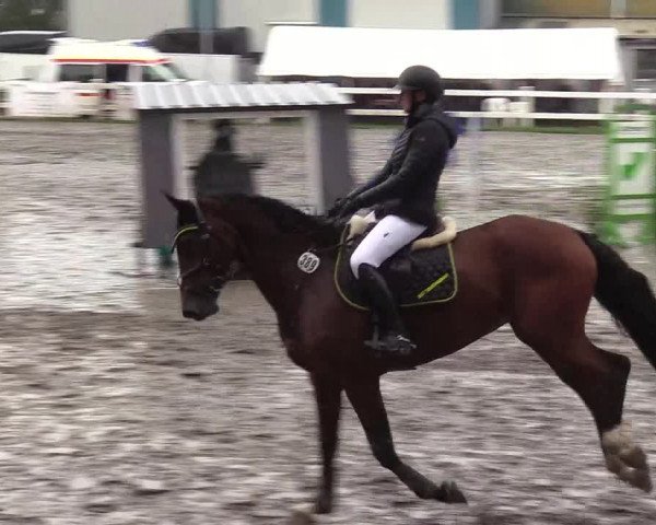 Reitturnier Mildstedt 2022