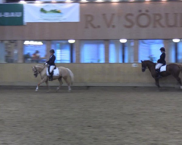 Reitturnier Sörup 2022