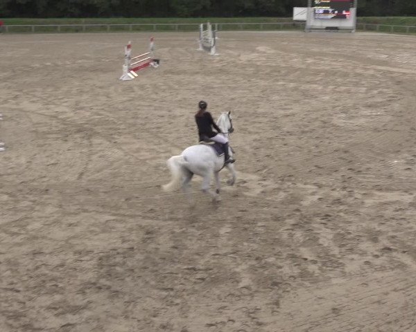 Reitturnier Köln-Leverkusen 2022
