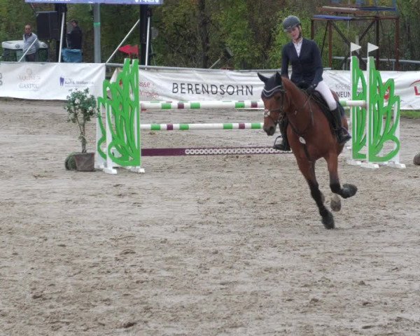 Reitturnier Neunkirchen-City 2022