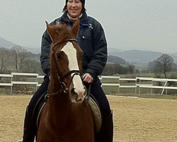 broodmare Funny Girl (Oldenburg, 1988, from Freisturm) broodmare Funny Girl (Oldenburg, 1988, from Freisturm)