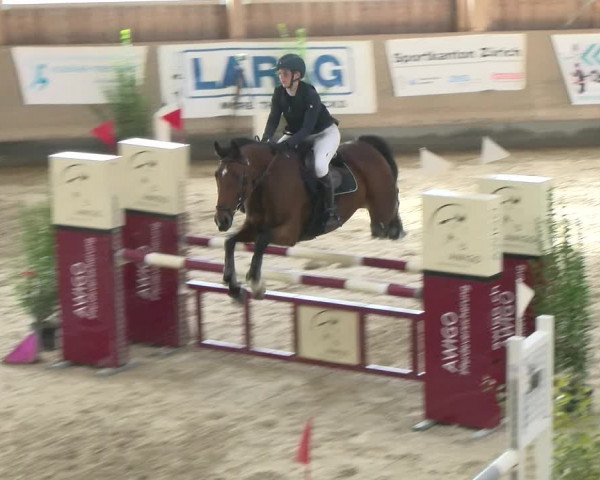 Reitturnier Winterthur 2022