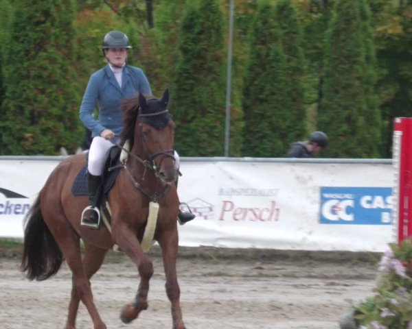 Reitturnier Neunkirchen-City 2022