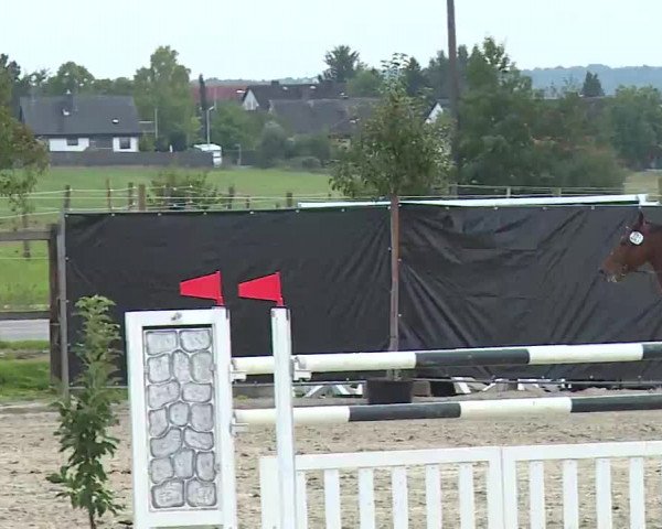 Reitturnier Poxdorf/Ofr 2022