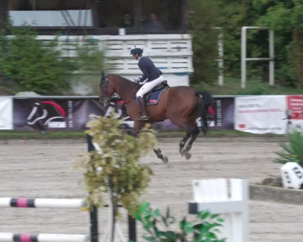 Reitturnier Neunkirchen-City 2022