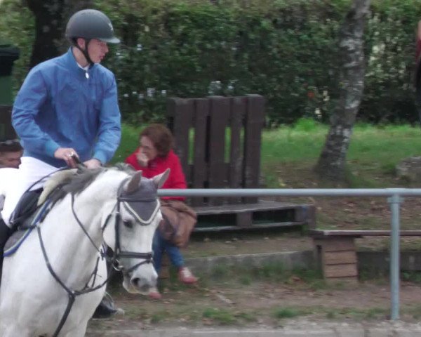 Reitturnier Neunkirchen-City 2022
