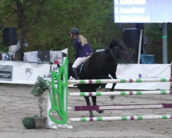 Reitturnier Neunkirchen-City 2022