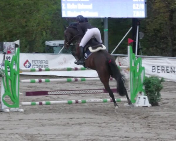 Reitturnier Neunkirchen-City 2022