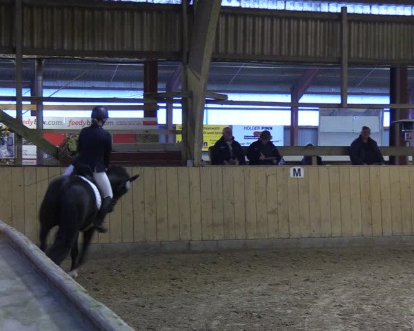 Reitturnier Sörup 2022