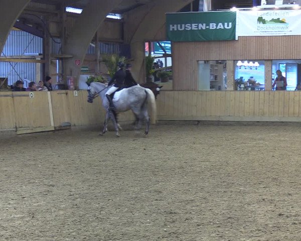 Reitturnier Sörup 2022