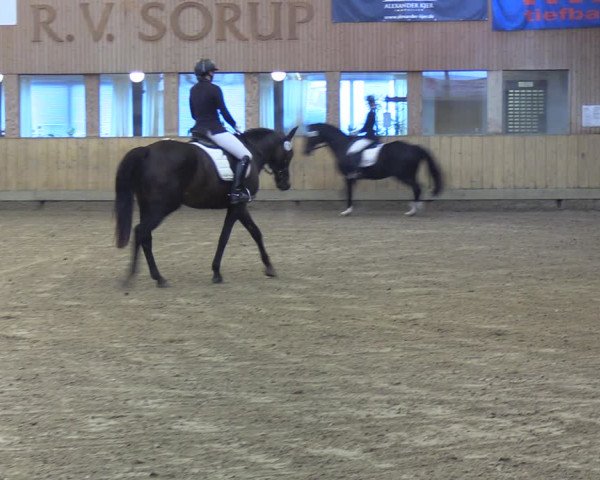 Reitturnier Sörup 2022