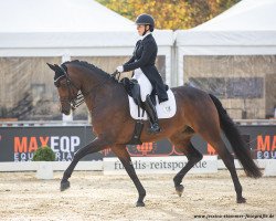 dressage horse Rock Lady Rvl (Rhinelander, 2011, from Rock Forever NRW)