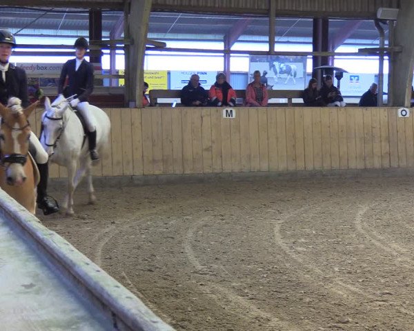 Reitturnier Sörup 2022