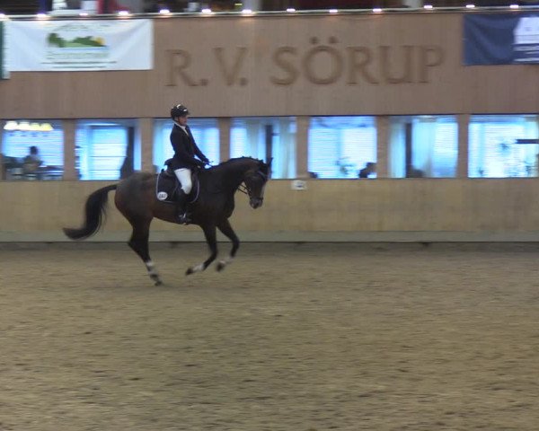 Reitturnier Sörup 2022