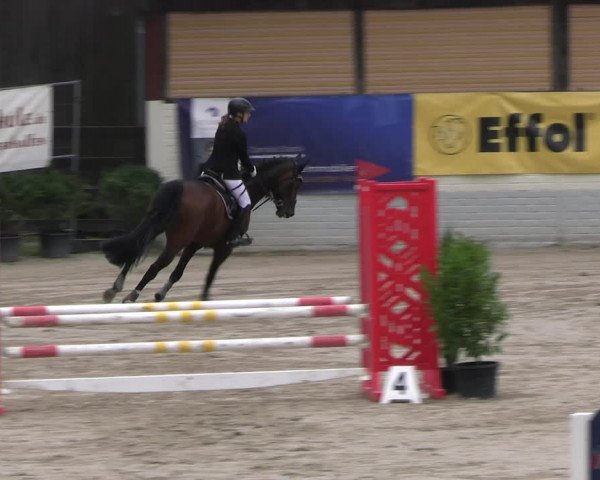 Reitturnier Wachtberg-Adendorf 2022