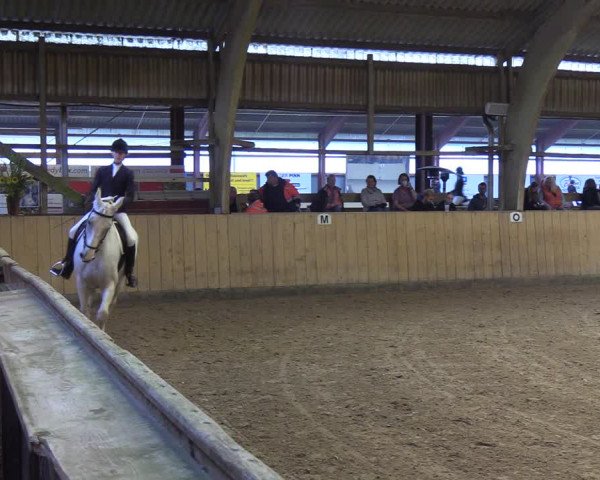 Reitturnier Sörup 2022