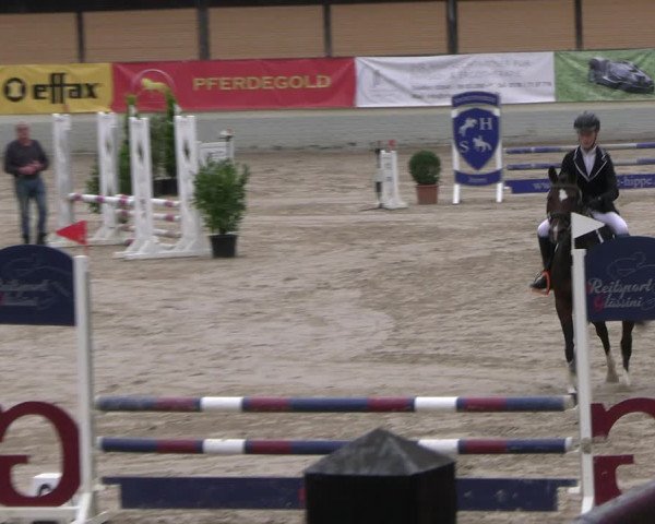 Reitturnier Wachtberg-Adendorf 2022