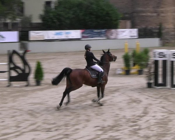 Reitturnier Wachtberg-Adendorf 2022