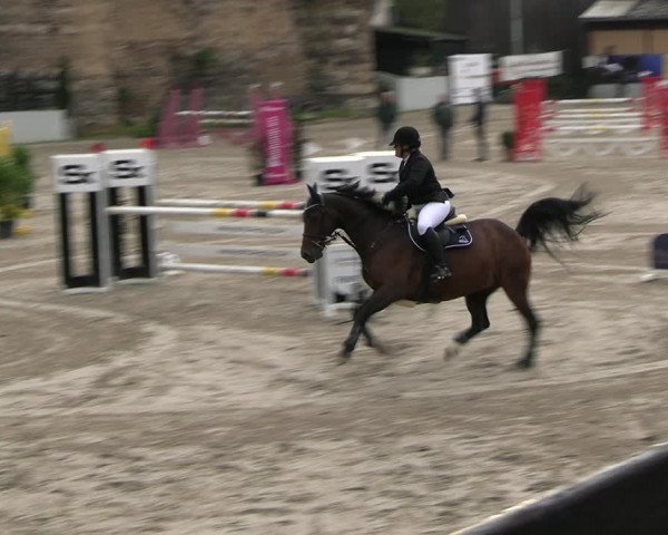 Reitturnier Wachtberg-Adendorf 2022