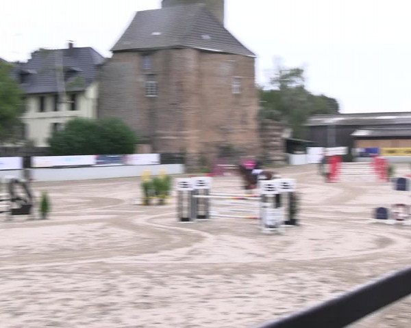 Reitturnier Wachtberg-Adendorf 2022