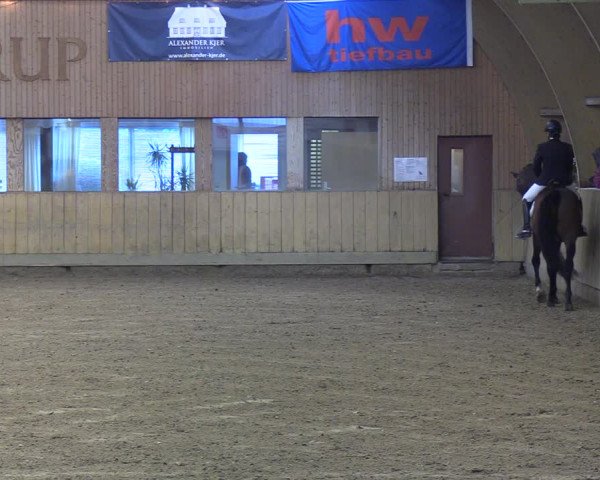 Reitturnier Sörup 2022