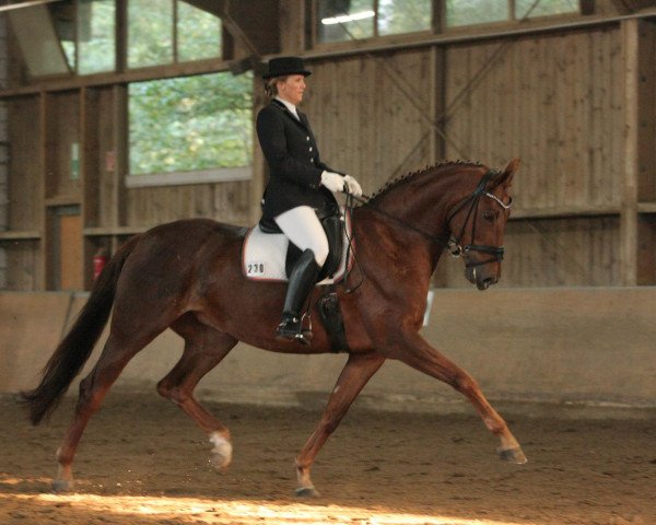 broodmare Rubinera 4 (Hanoverian, 2004, from Rubin Royal OLD) broodmare Rubinera 4 (Hanoverian, 2004, from Rubin Royal OLD)