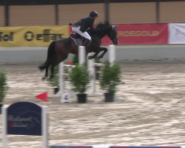 Reitturnier Wachtberg-Adendorf 2022