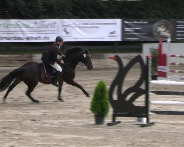 Reitturnier Wachtberg-Adendorf 2022