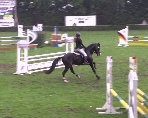 Reitturnier Westeregeln 2021