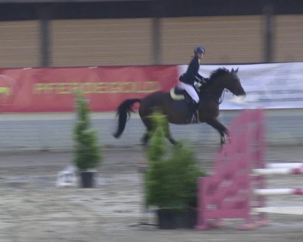 Reitturnier Wachtberg-Adendorf 2022
