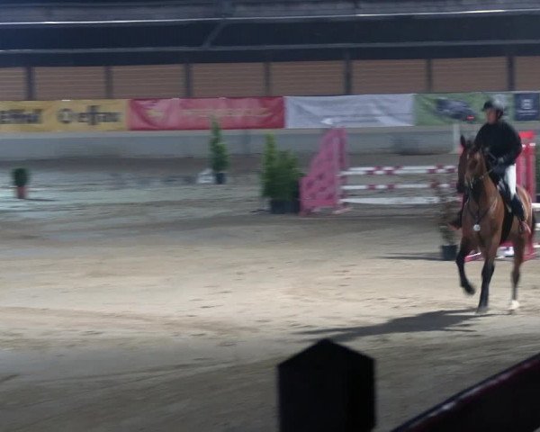 Reitturnier Wachtberg-Adendorf 2022