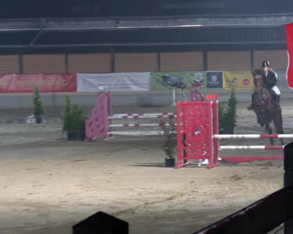 Reitturnier Wachtberg-Adendorf 2022