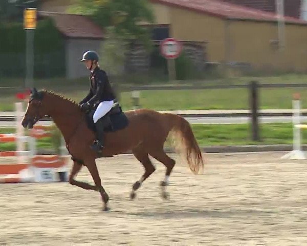 Reitturnier Poxdorf/Ofr 2022