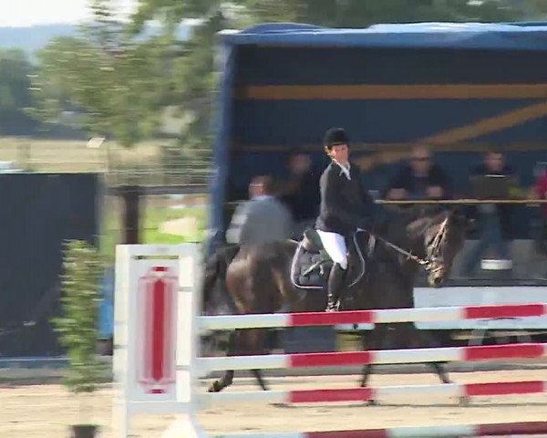 Reitturnier Poxdorf/Ofr 2022