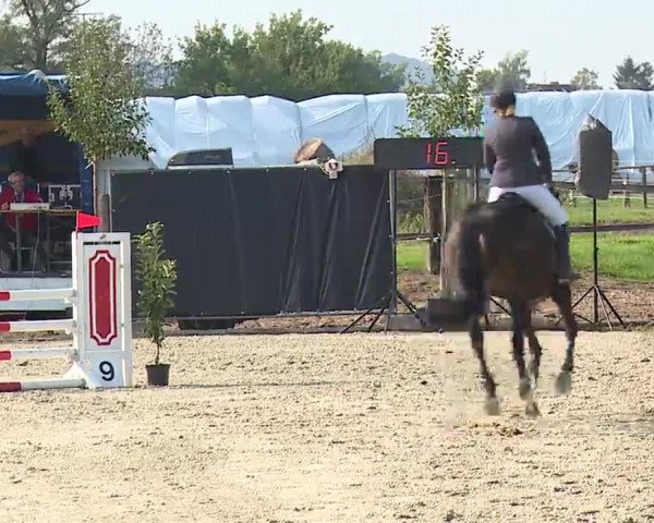 Reitturnier Poxdorf/Ofr 2022