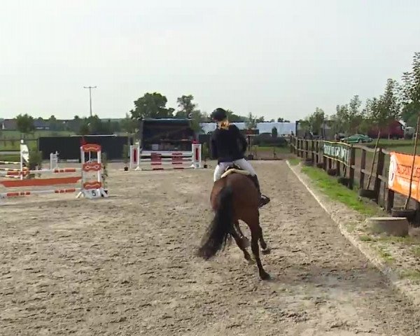 Reitturnier Poxdorf/Ofr 2022