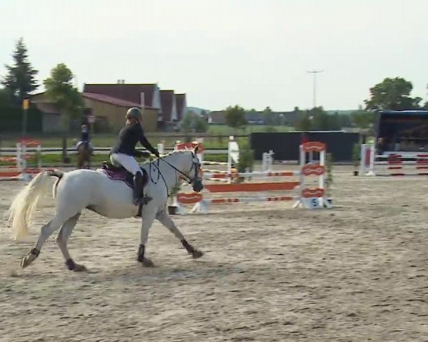 Reitturnier Poxdorf/Ofr 2022