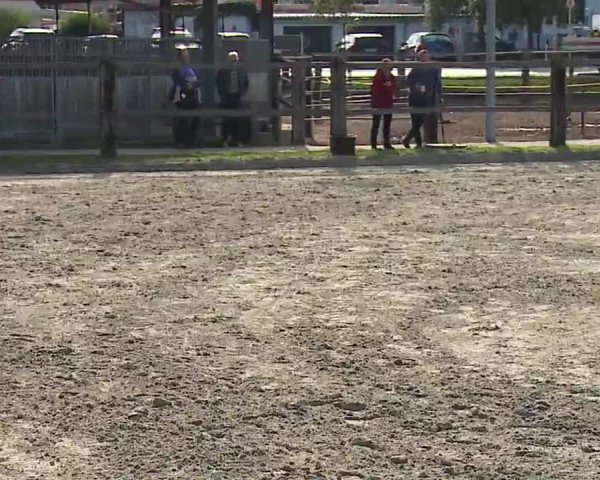 Reitturnier Poxdorf/Ofr 2022