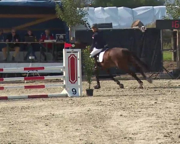 Reitturnier Poxdorf/Ofr 2022
