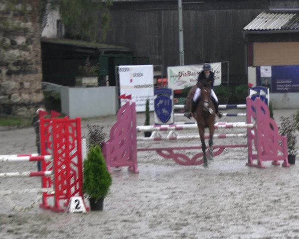Reitturnier Wachtberg-Adendorf 2022