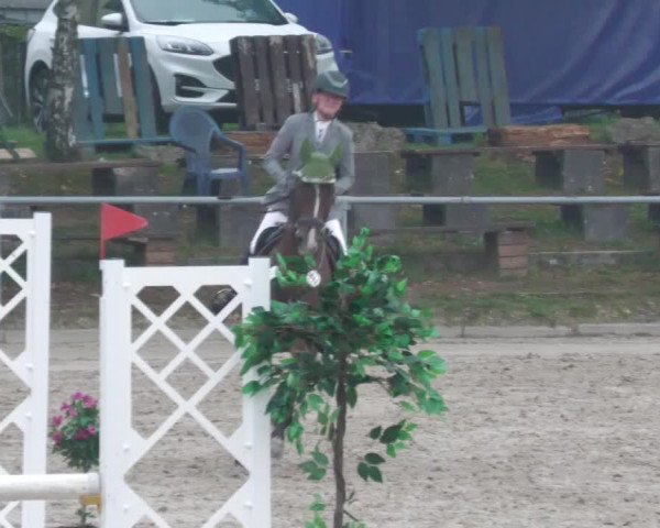 Reitturnier Neunkirchen-City 2022