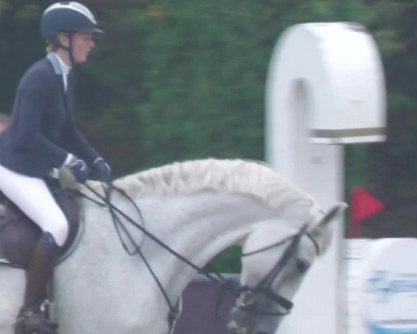 Reitturnier Neunkirchen-City 2022