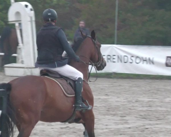 Reitturnier Neunkirchen-City 2022