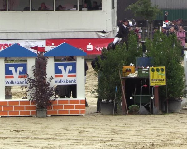 Reitturnier Albersloh 2022